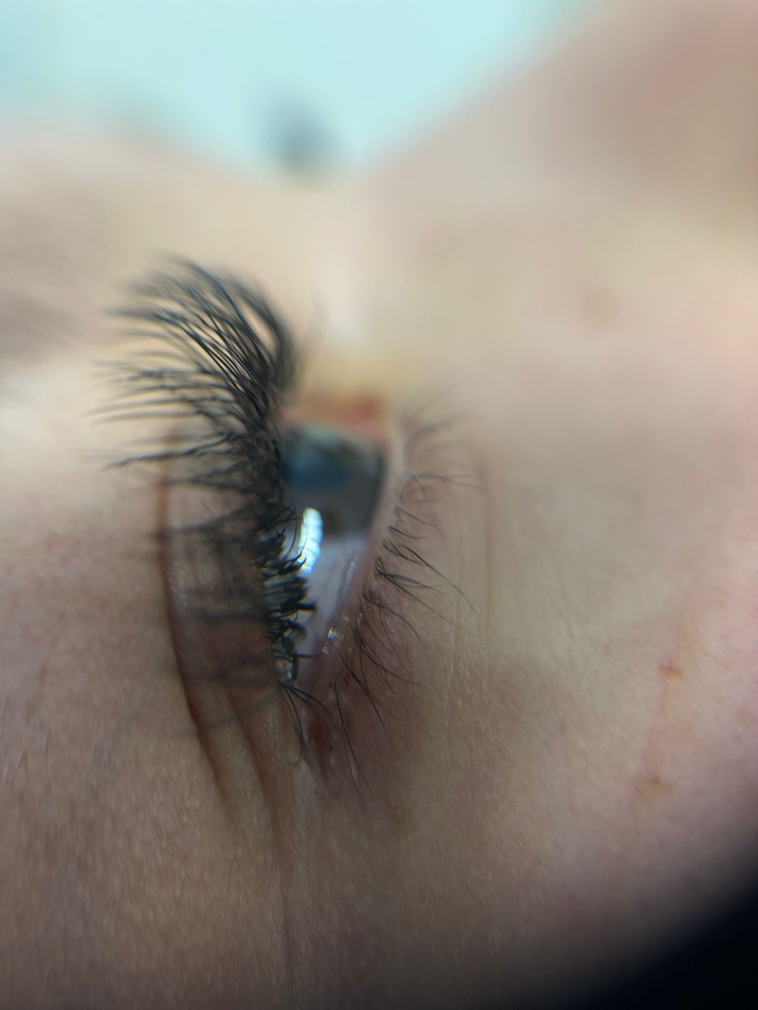 Un primer plano del ojo de una mujer con pestañas largas.