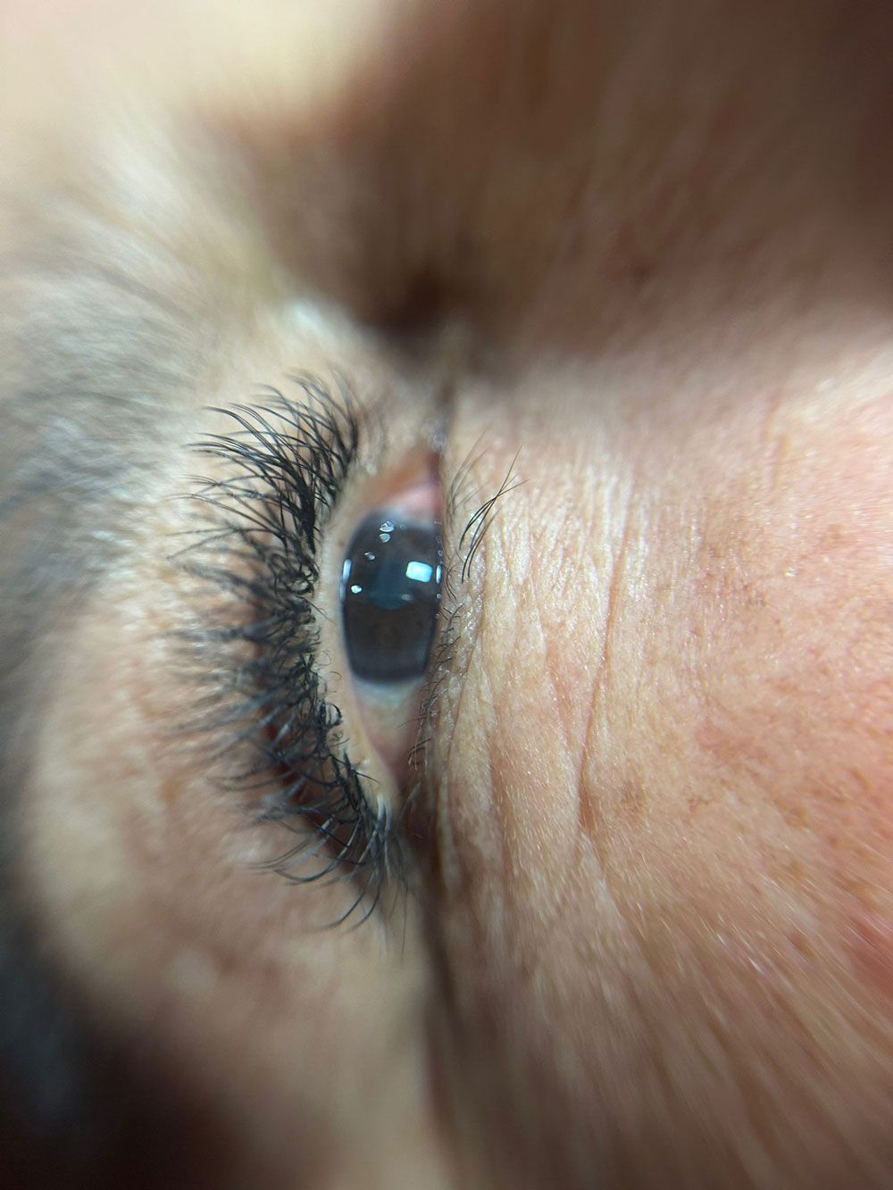 Un primer plano del ojo de una mujer con pestañas largas.