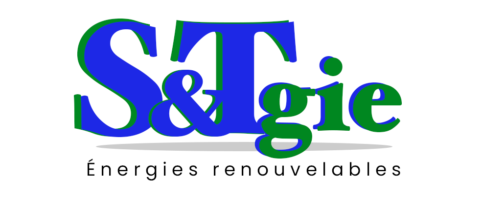 Logo S&TGIE