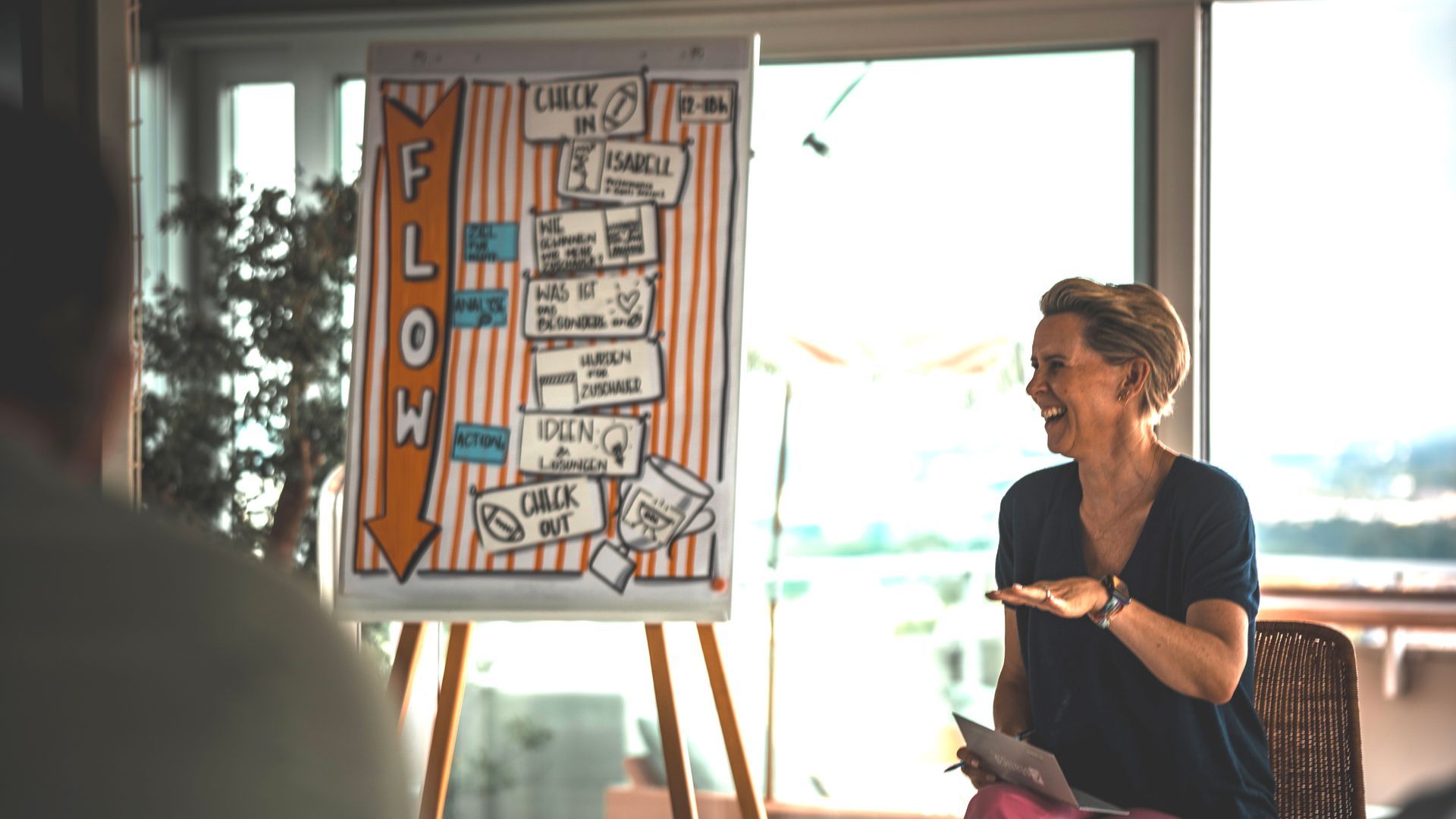 Webinar mit Daniela Fink Ablauf mit Sketch Snotes Flipchart