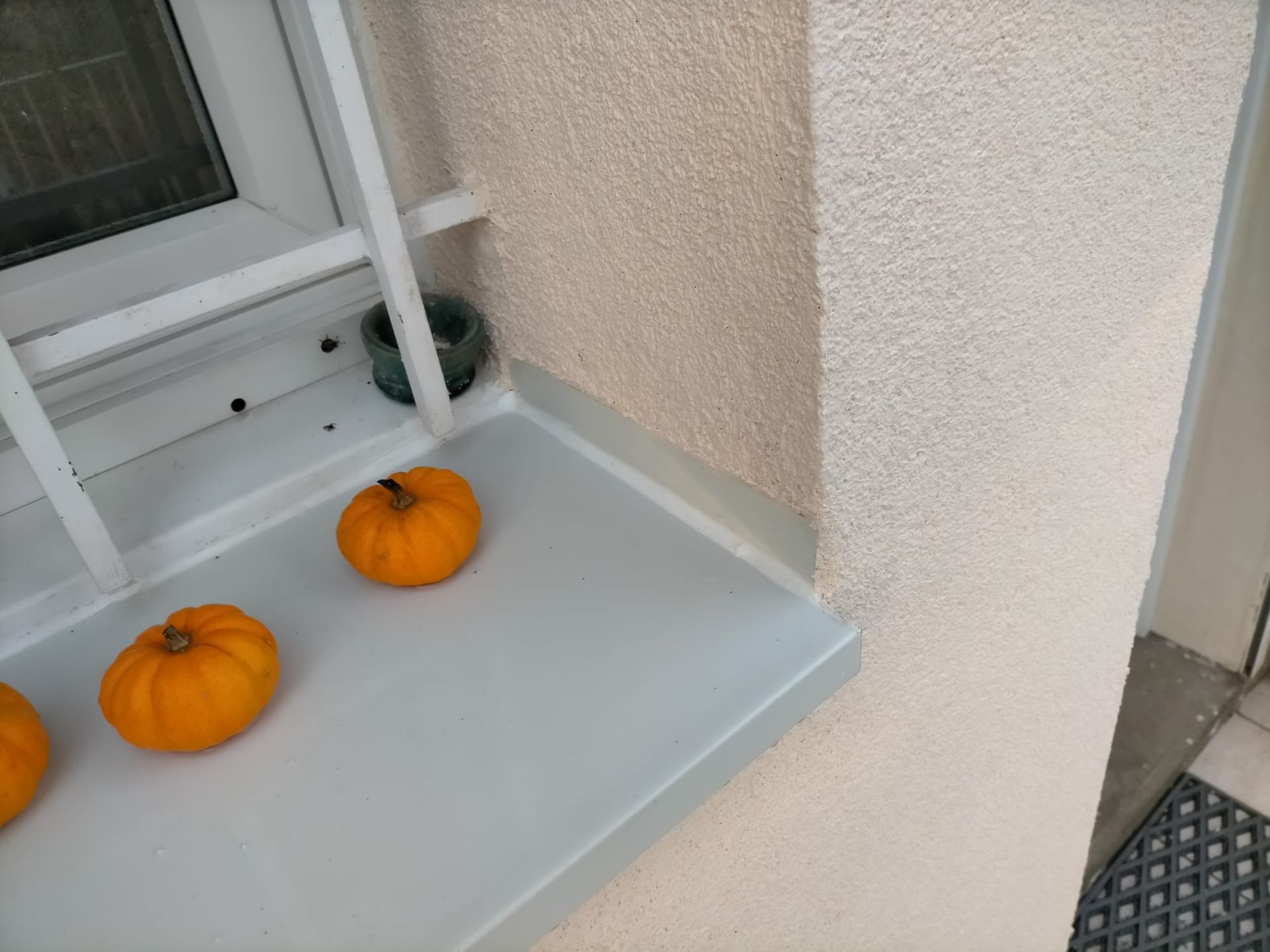 Isolation d'une fenêtre, 3 citrouilles posées dessus.