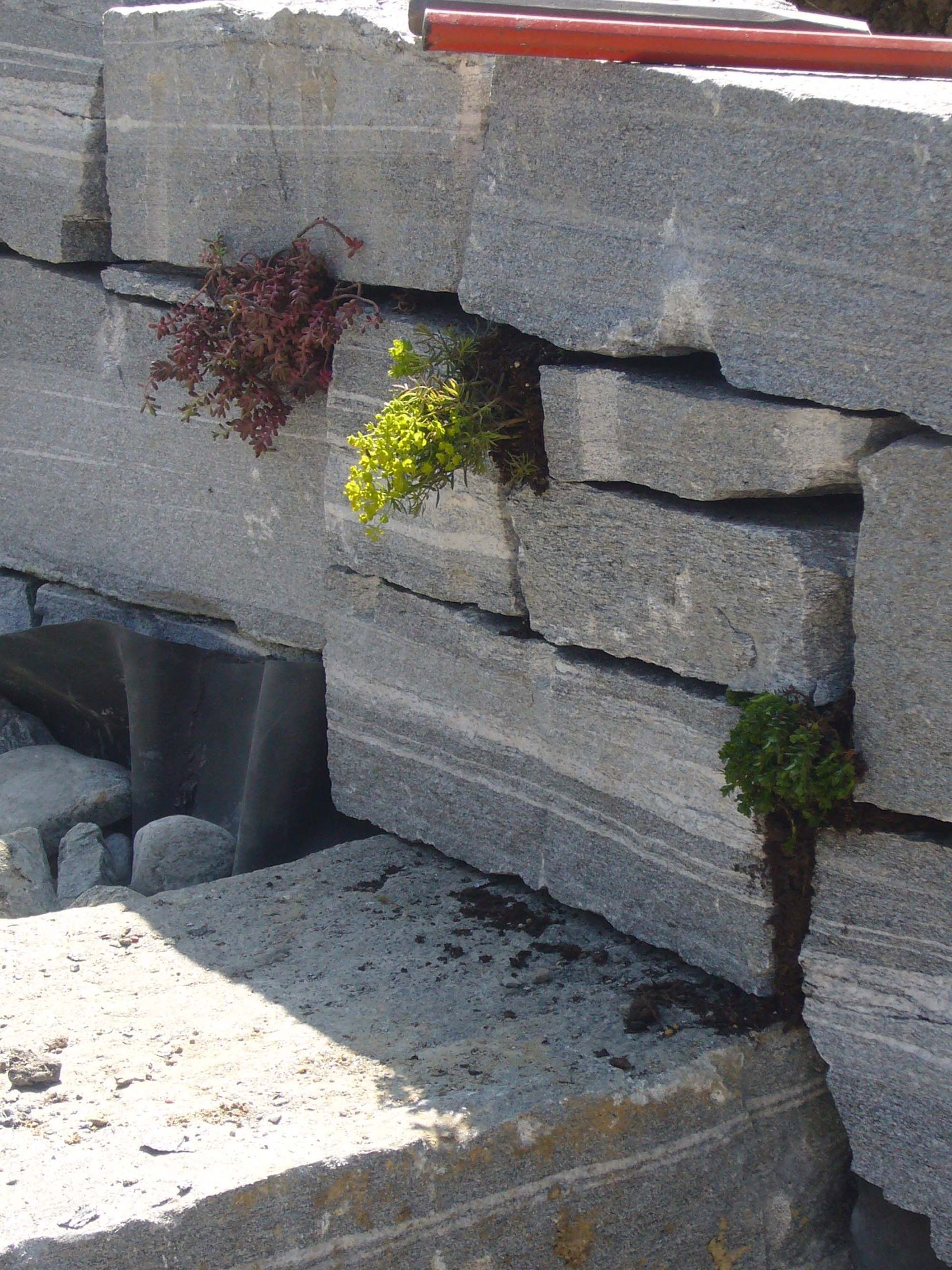 Gartenbau - Steinmauern - Madano in Laufen