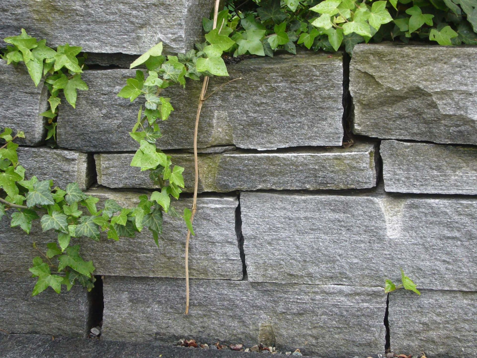 Gartenbau - Quadersteinmauern - Madano in Laufen