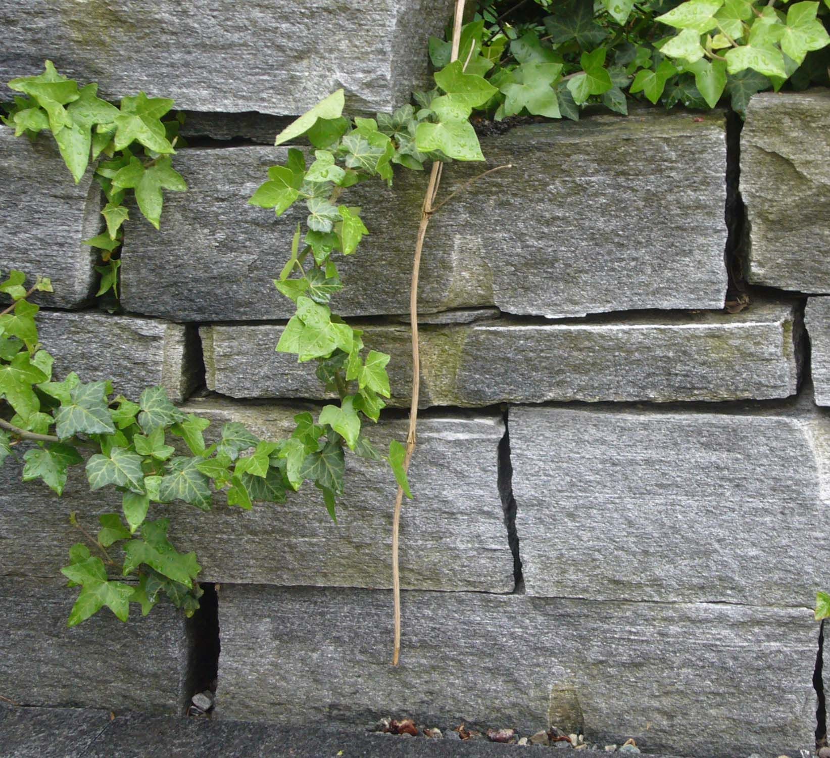 Gartenbau - Steinmauern - Madano in Laufen