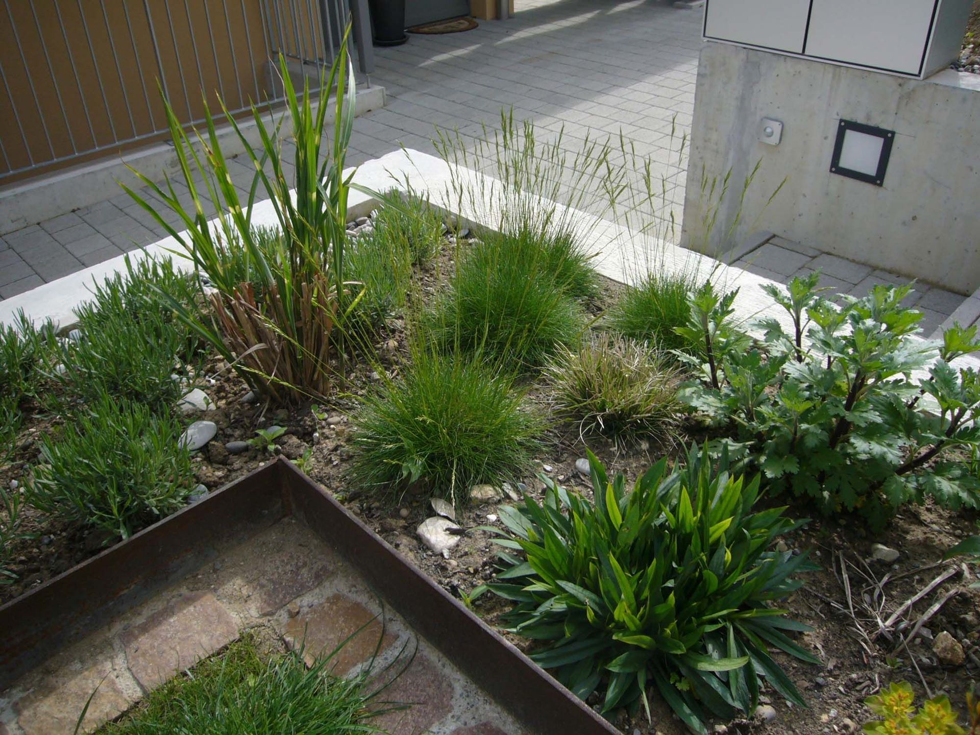 Gartenpflege - Bepflanzung - Madano in Laufen