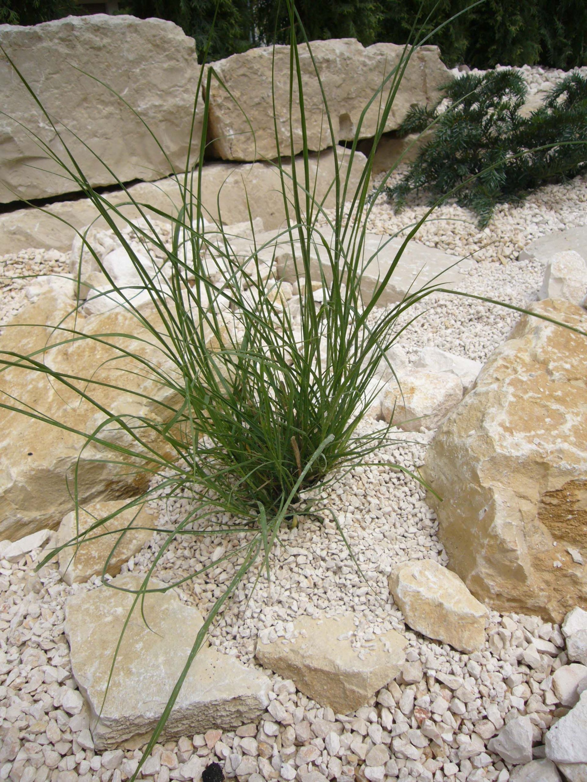 Gartenbau - Neugestaltung - Madano in Laufen