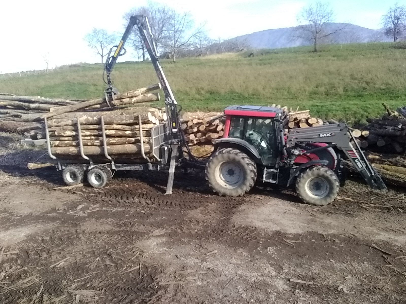 Un tracteur équipé d'une grue charge de grumes sur une remorque.