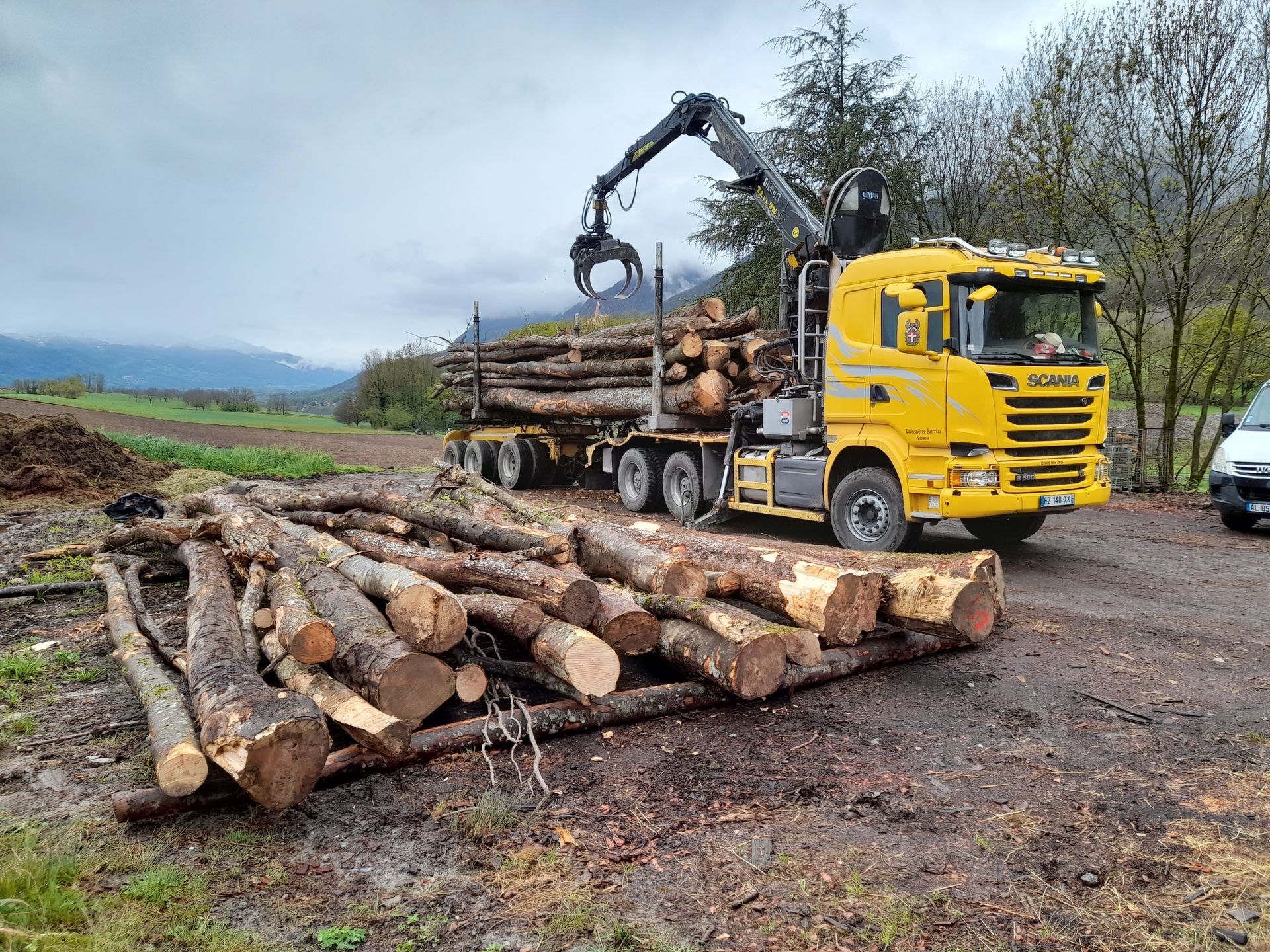 Camion grumier jaune chargeant des grumes à l'aide d'une grue dans un champ ; montagnes en arrière-plan.