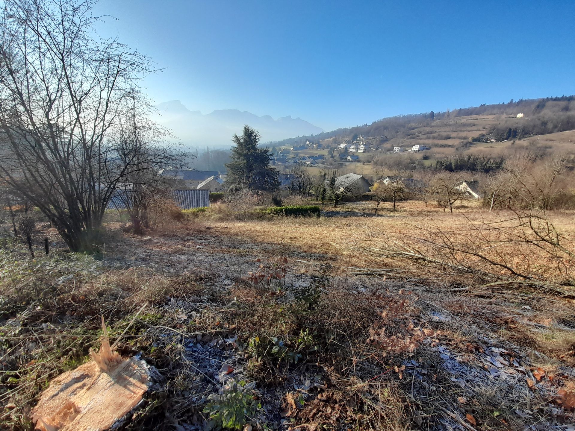 Vue panoramique sur un versant ensoleillé parsemé d'arbres, une ville au loin et des montagnes sous un ciel d'un bleu limpide.