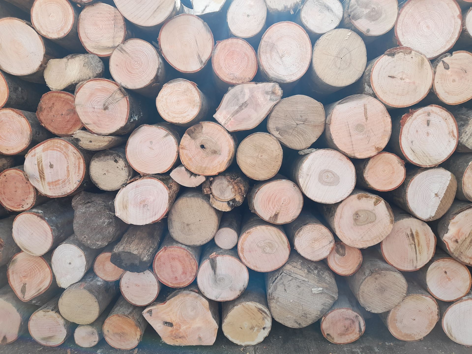 Pile de bûches coupées, de couleurs et de tailles variées, empilées les unes sur les autres.