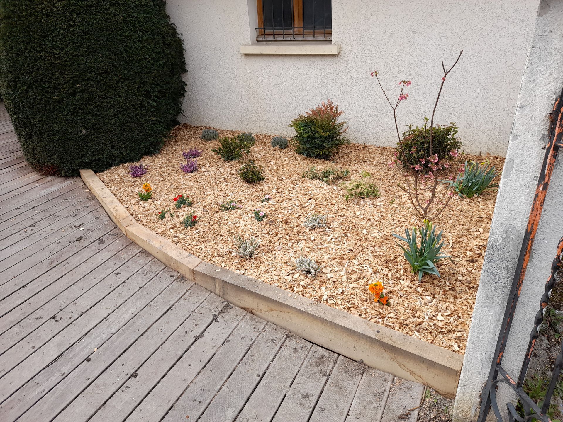 Parterre de fleurs recouvert de copeaux de bois, agrémenté de petites plantes et d'une bordure en bois, jouxtant une terrasse en bois et un mur blanc.
