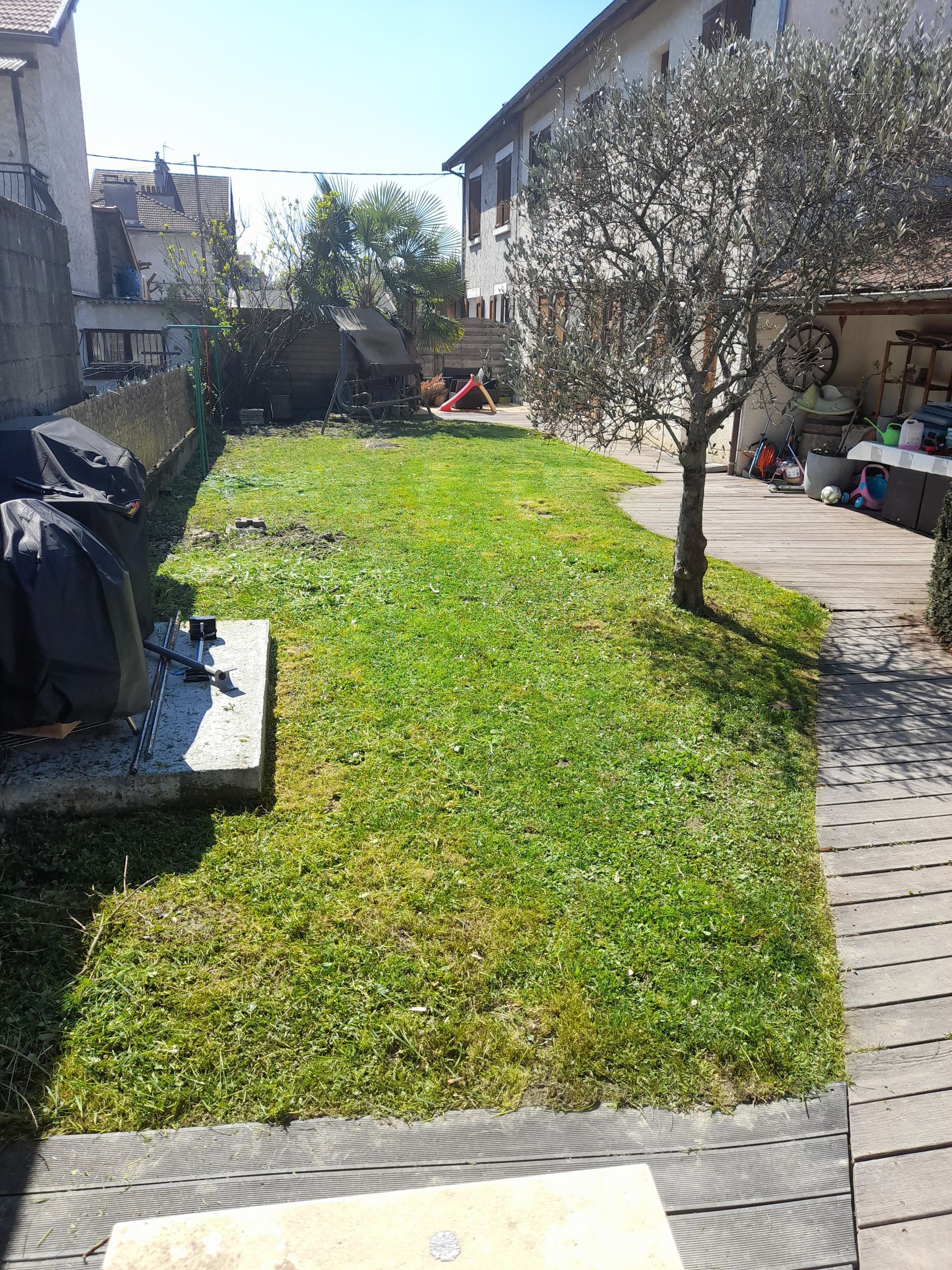 Jardin arrière verdoyant avec pelouse, arbre et allée en bois. Bâtiments en arrière-plan.