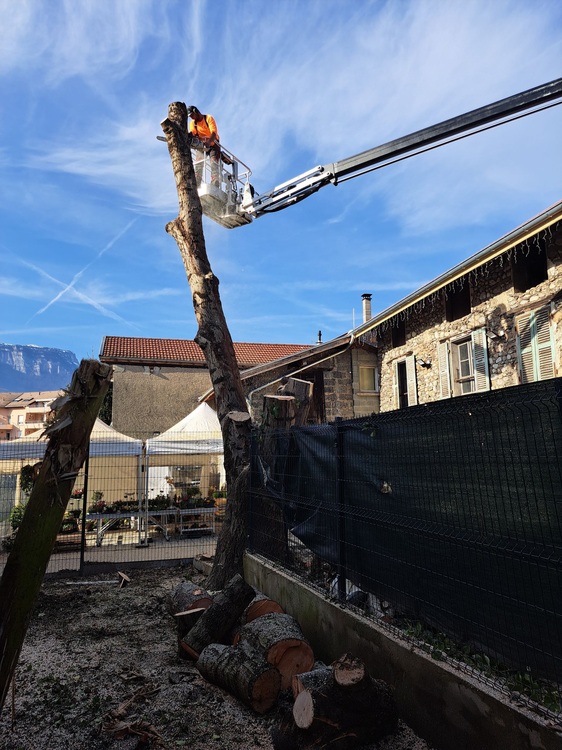 Un arbre est élagué à la tronçonneuse depuis une nacelle élévatrice. Des bûches et de la sciure jonchent le sol ; ciel bleu.