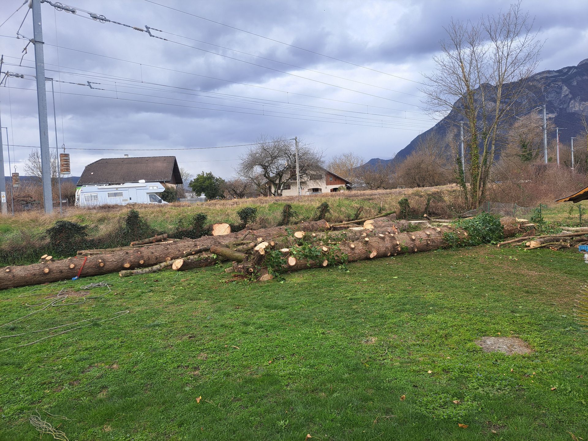 Un tronc d'arbre abattu gît sur l'herbe verte, avec des bâtiments et une montagne en arrière-plan.