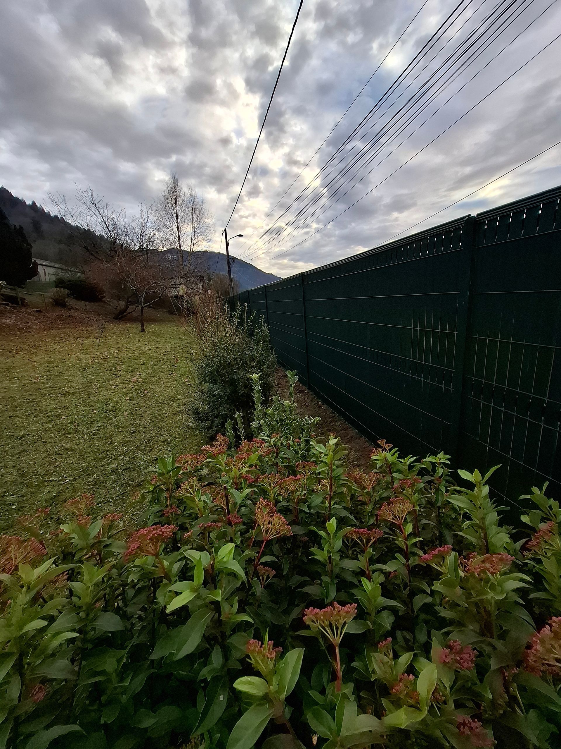 Des arbustes verdoyants et une clôture sous un ciel nuageux, avec des montagnes au loin.