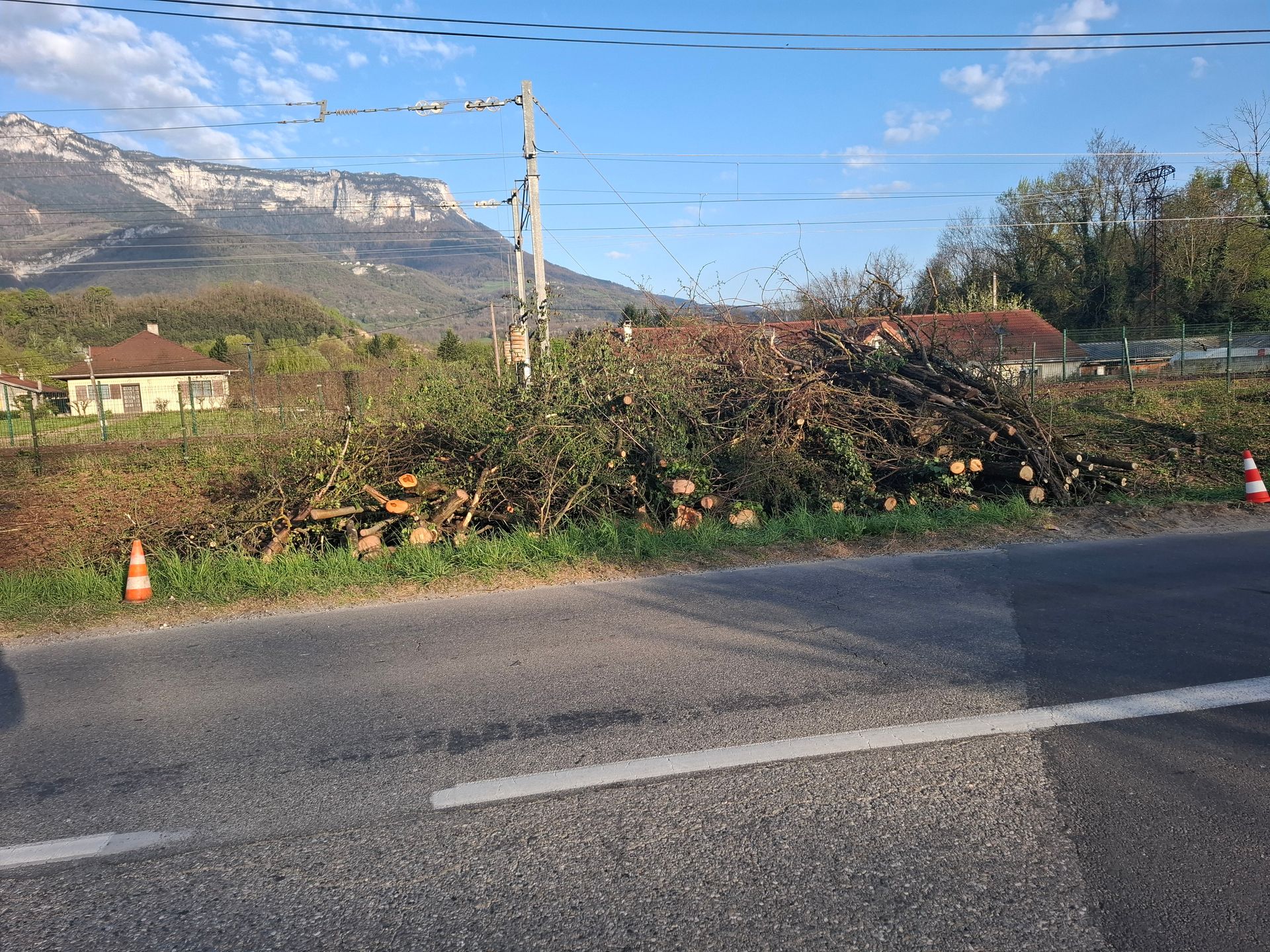 Vue en bord de route avec un tas de troncs coupés et des montagnes en arrière-plan sous un ciel bleu.