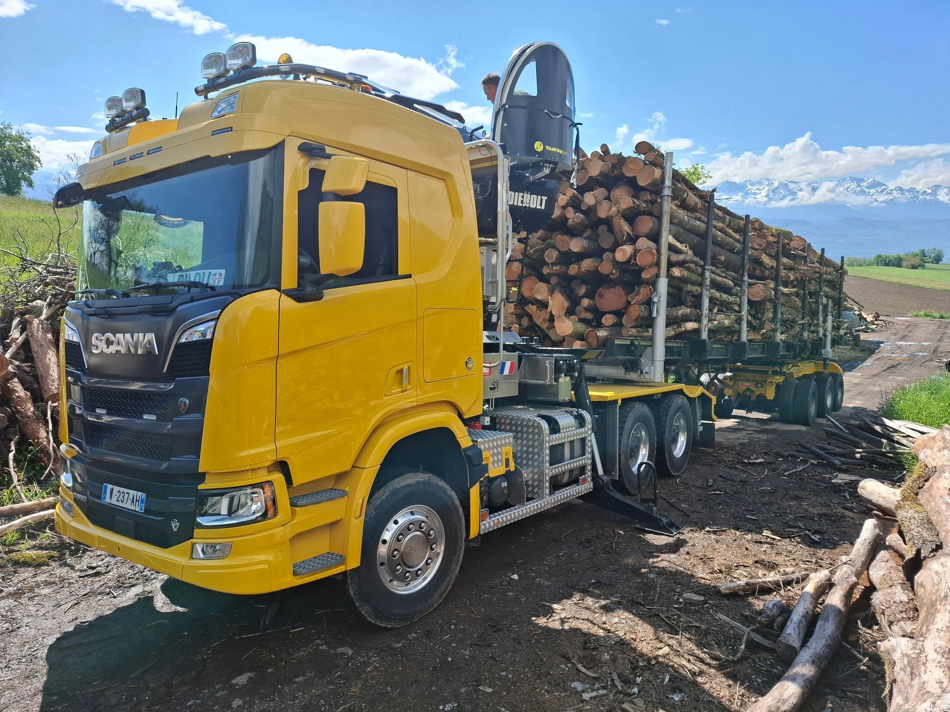 Camion grumier Scania jaune chargé de grumes sur un chemin de gravier, avec des montagnes en arrière-plan.