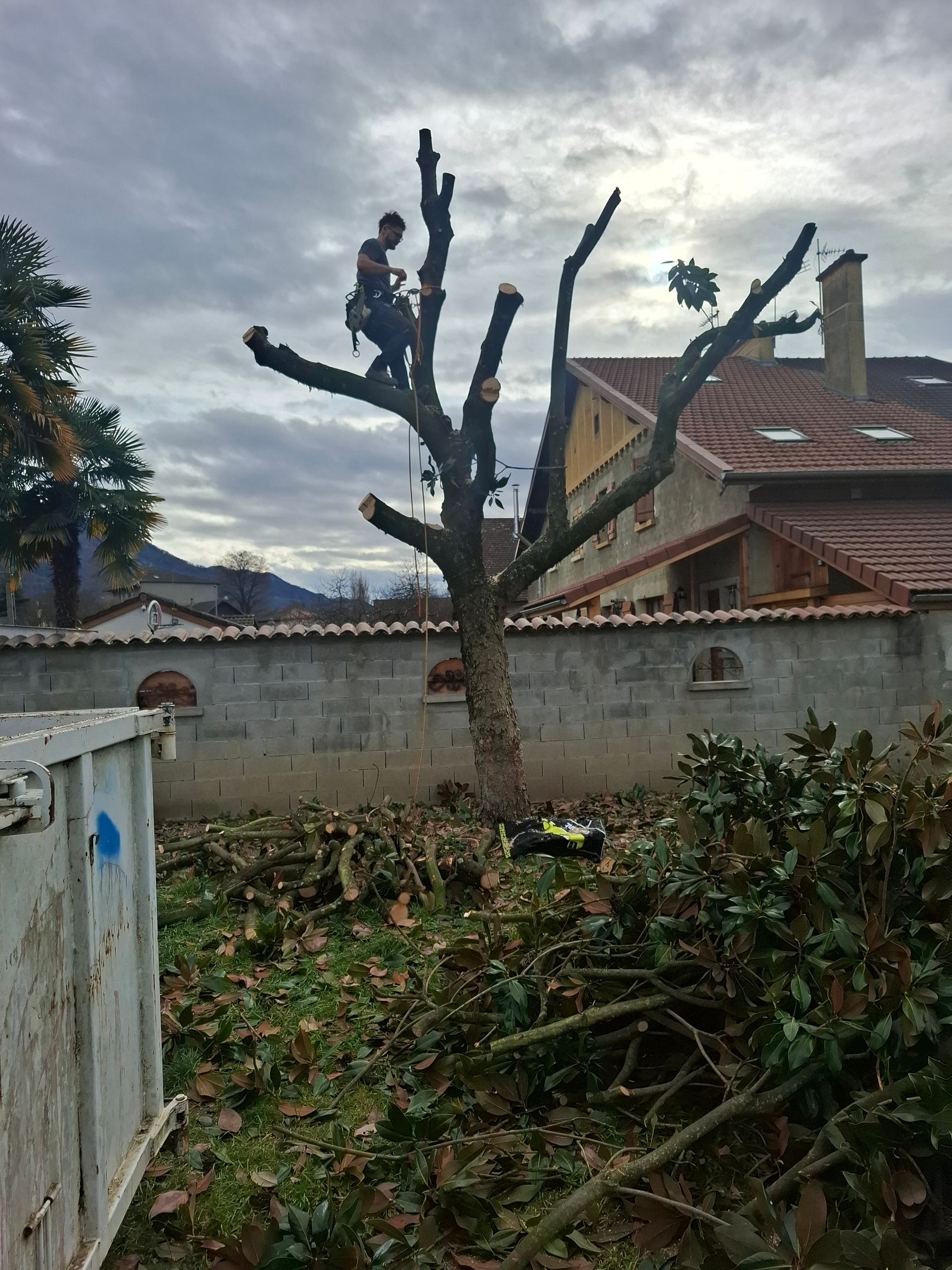 Une personne, portant un équipement de sécurité, élague un arbre. Des branches et des débris jonchent le sol dans un jardin.