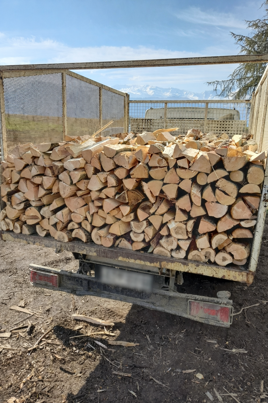 La benne d'un camion remplie de bois de chauffage coupé, sous un ciel bleu.