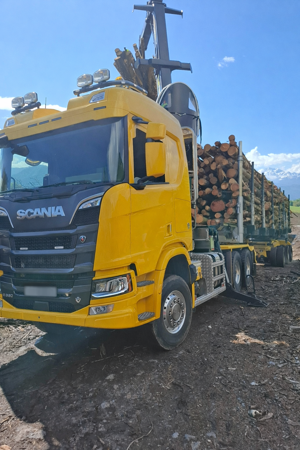 Camion grumier Scania jaune chargé de grumes sur un chemin de terre, avec un ciel bleu en arrière-plan.