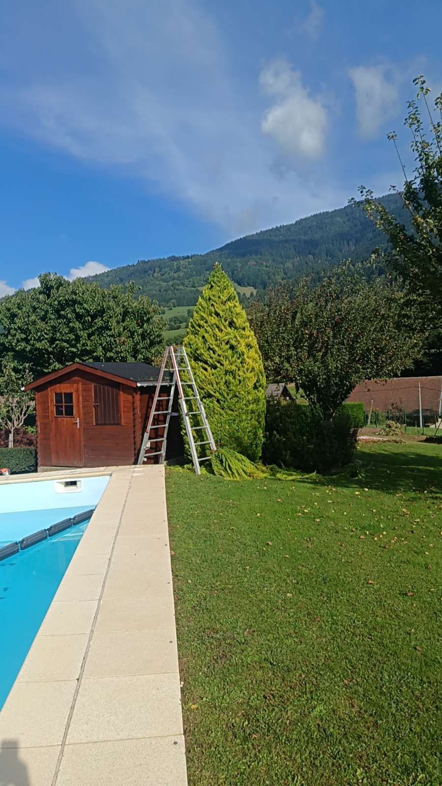 Piscine avec abri de jardin, échelle appuyée contre un arbre vert, pelouse, montagnes et ciel bleu.