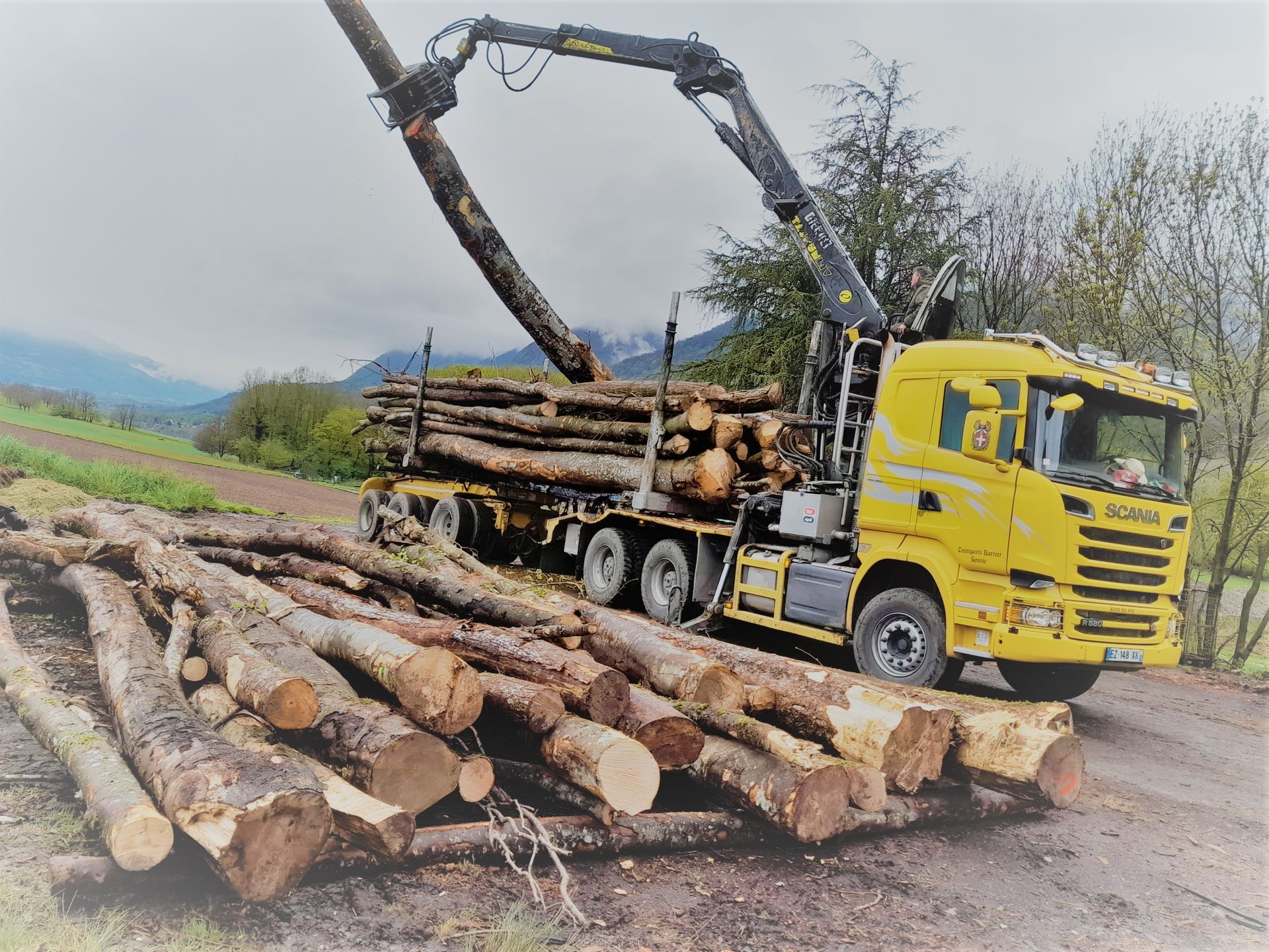 Camion grumier jaune chargeant des grumes sur un chemin de terre, bras de grue au-dessus, forêt en arrière-plan.