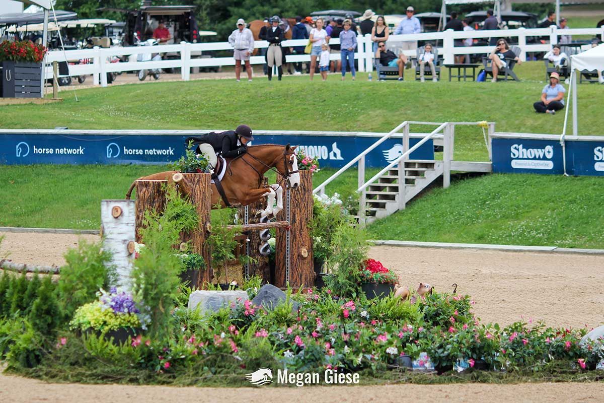 Horse and rider jumping over flowers.