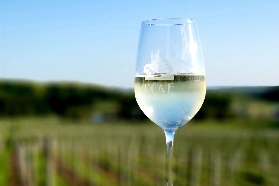 Glass of wine in a field