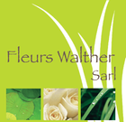 Logo de votre fleuriste : Fleurs Walther
