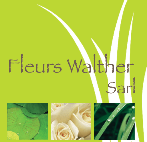 Logo Fleurs Walther SARL