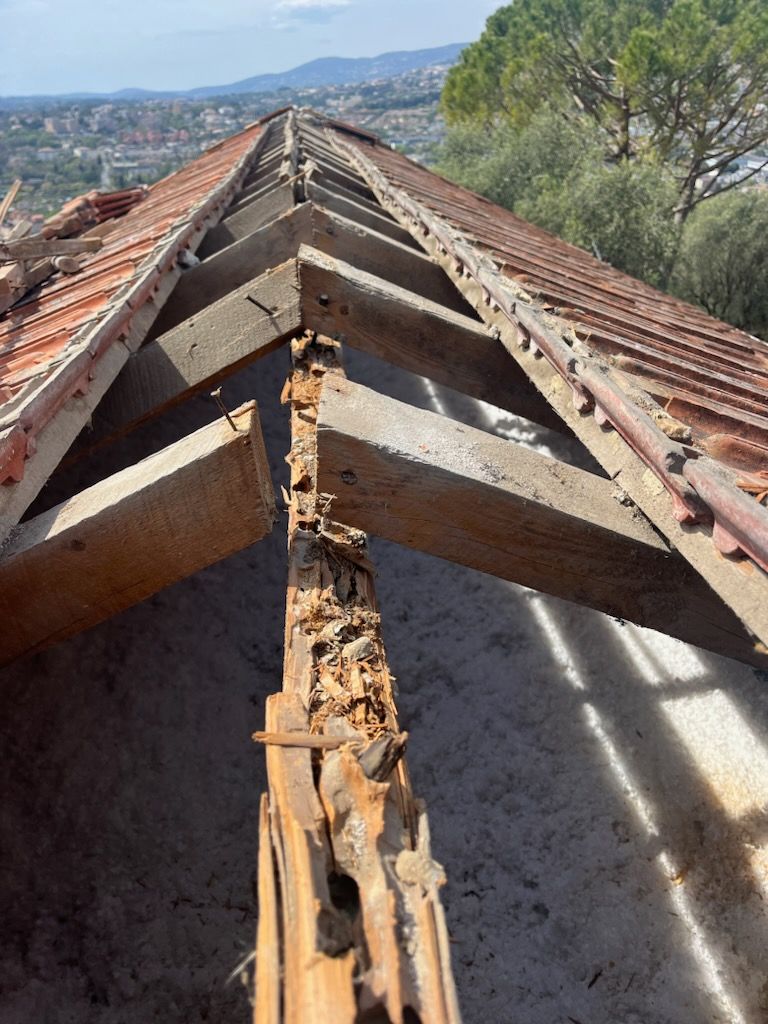 Charpente avec panne faîtière abîmée