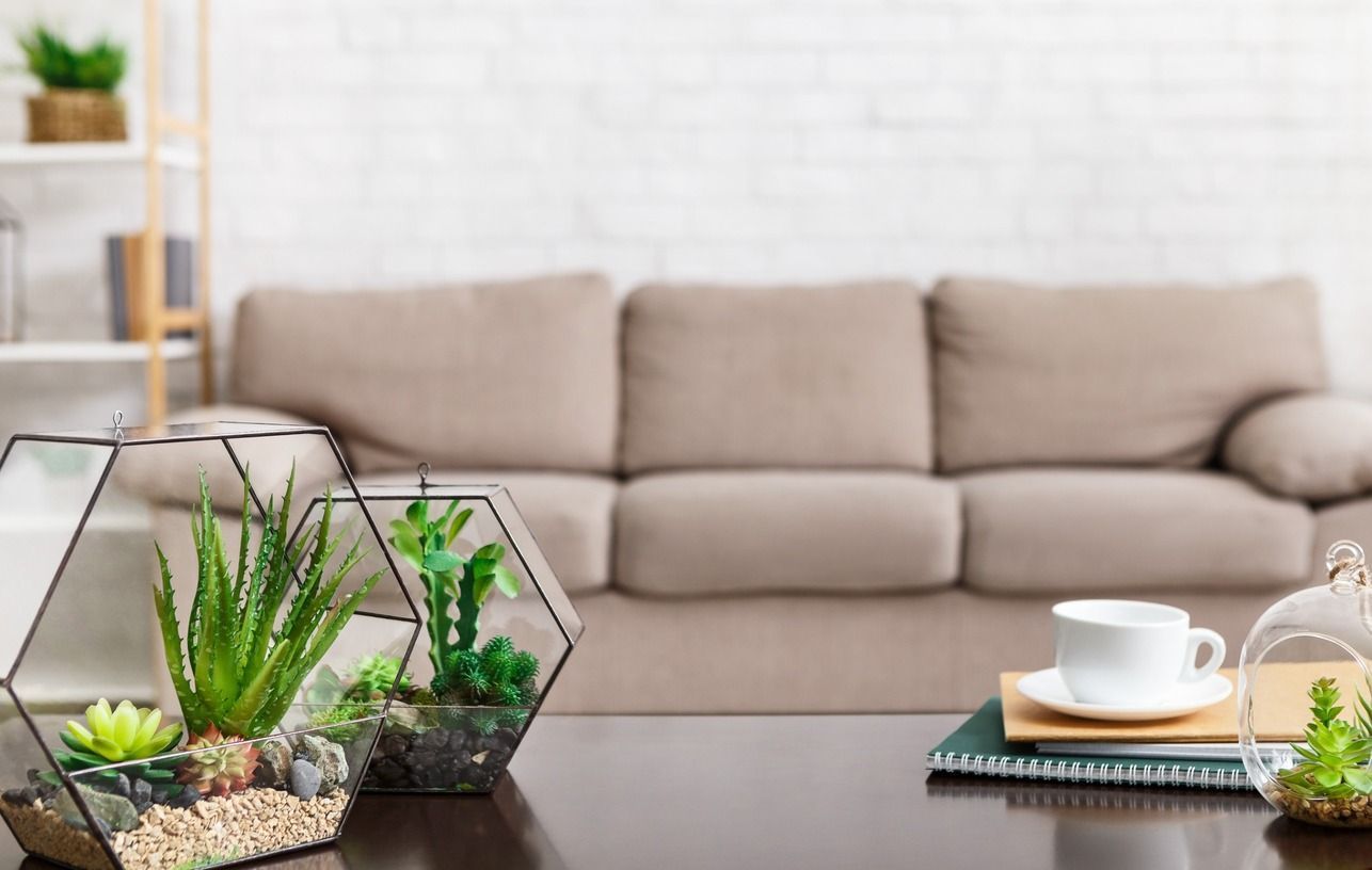 Sala de estar moderna con sofá beige, terrarios de cristal sobre la mesa y una taza de café sobre una bandeja.