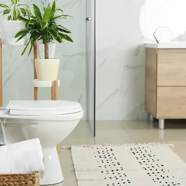 Baño luminoso con inodoro, planta en maceta, ducha de cristal y tocador de madera sobre una alfombra estampada.