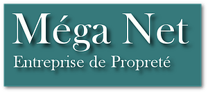 Logo de Méga Net