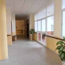 Pasillo vacío con grandes ventanales, suelo de madera clara y plantas en macetas a lo largo de la pared.