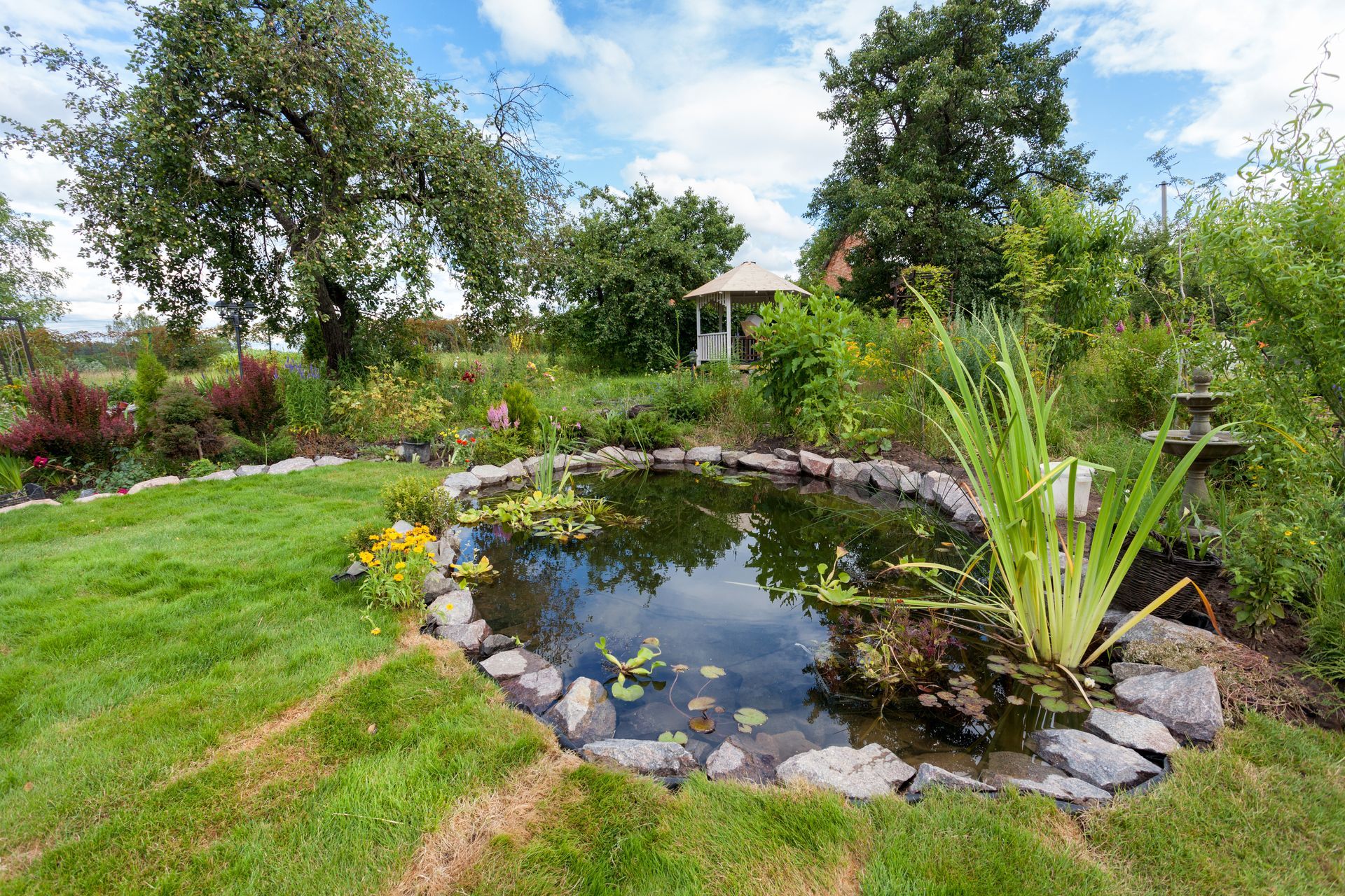 Bassin de jardin délimité par des pierres et entouré par des végétaux