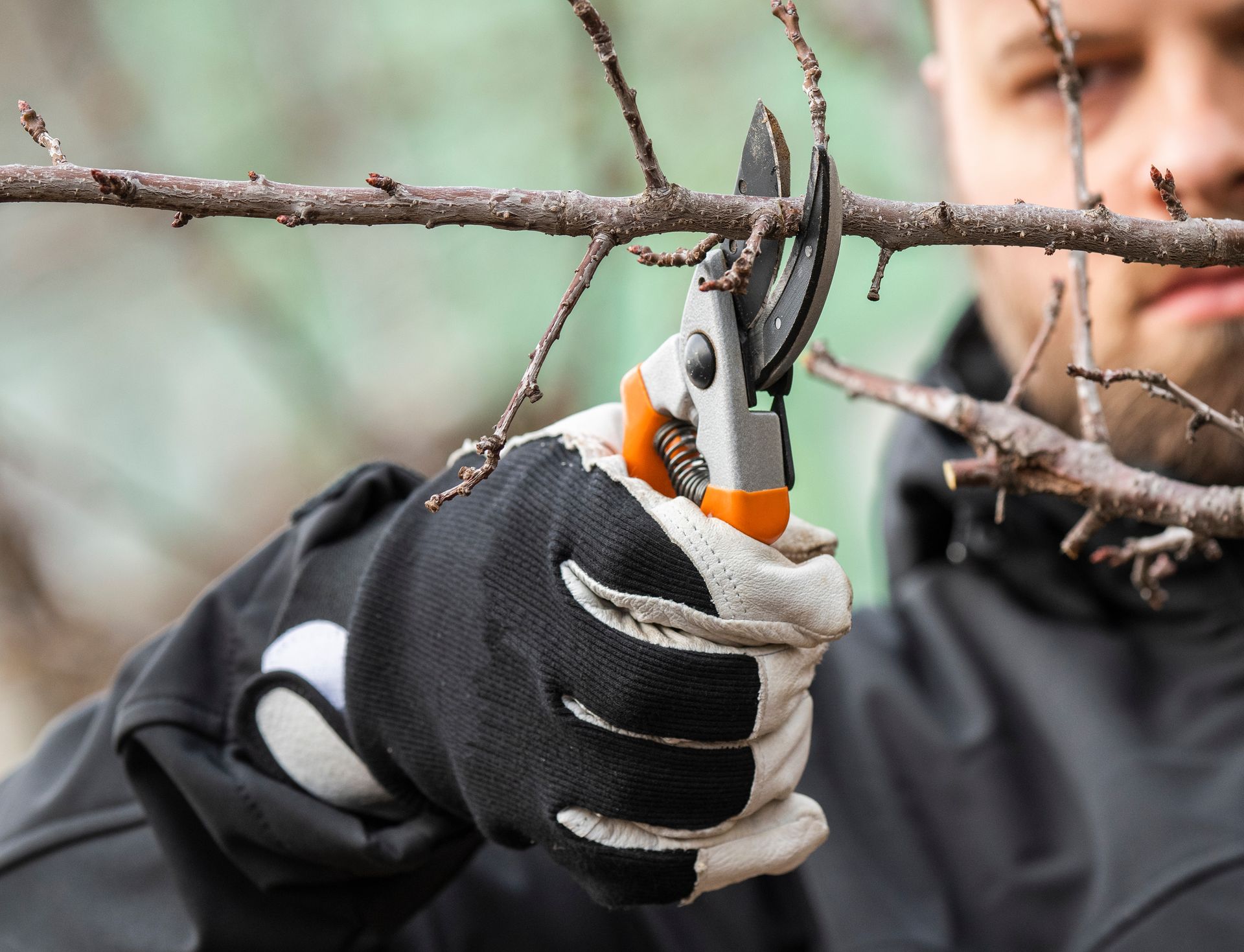 Homme coupant une branche d'arbre avec une pince