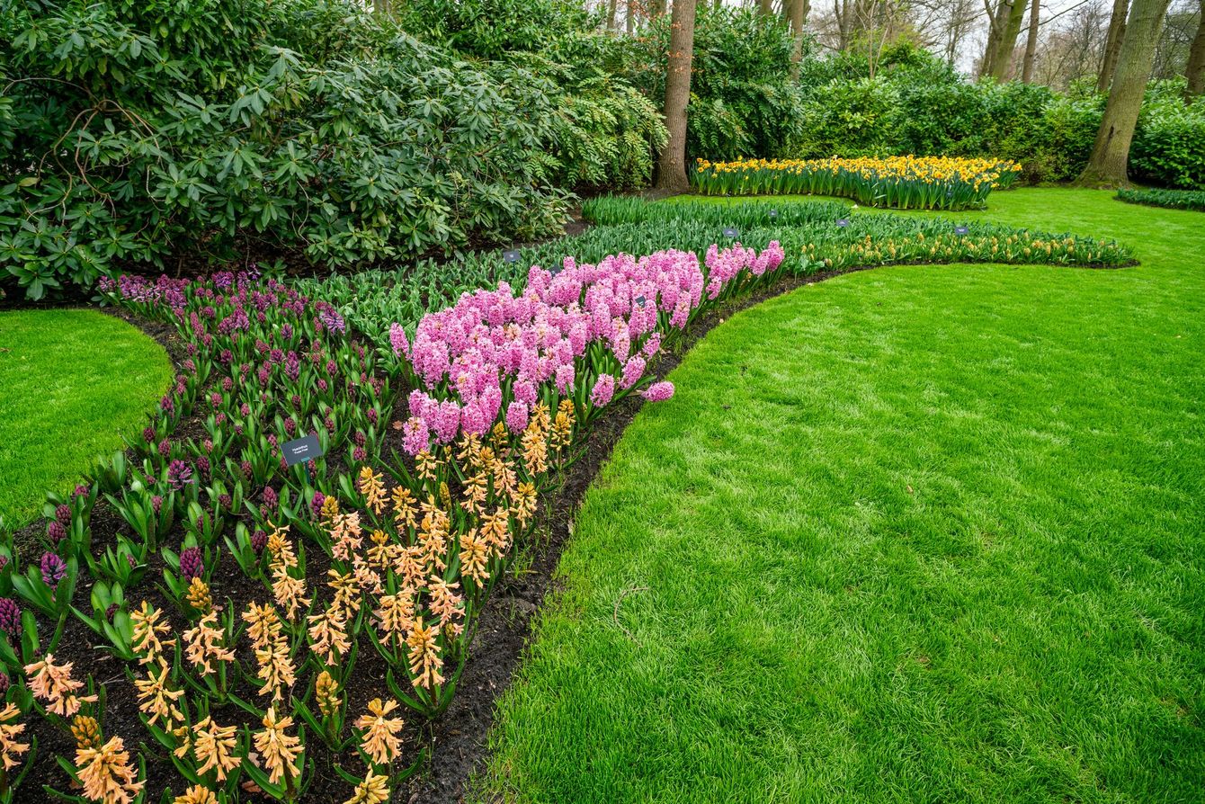 Pelouse verdoyante et allées de fleurs colorées