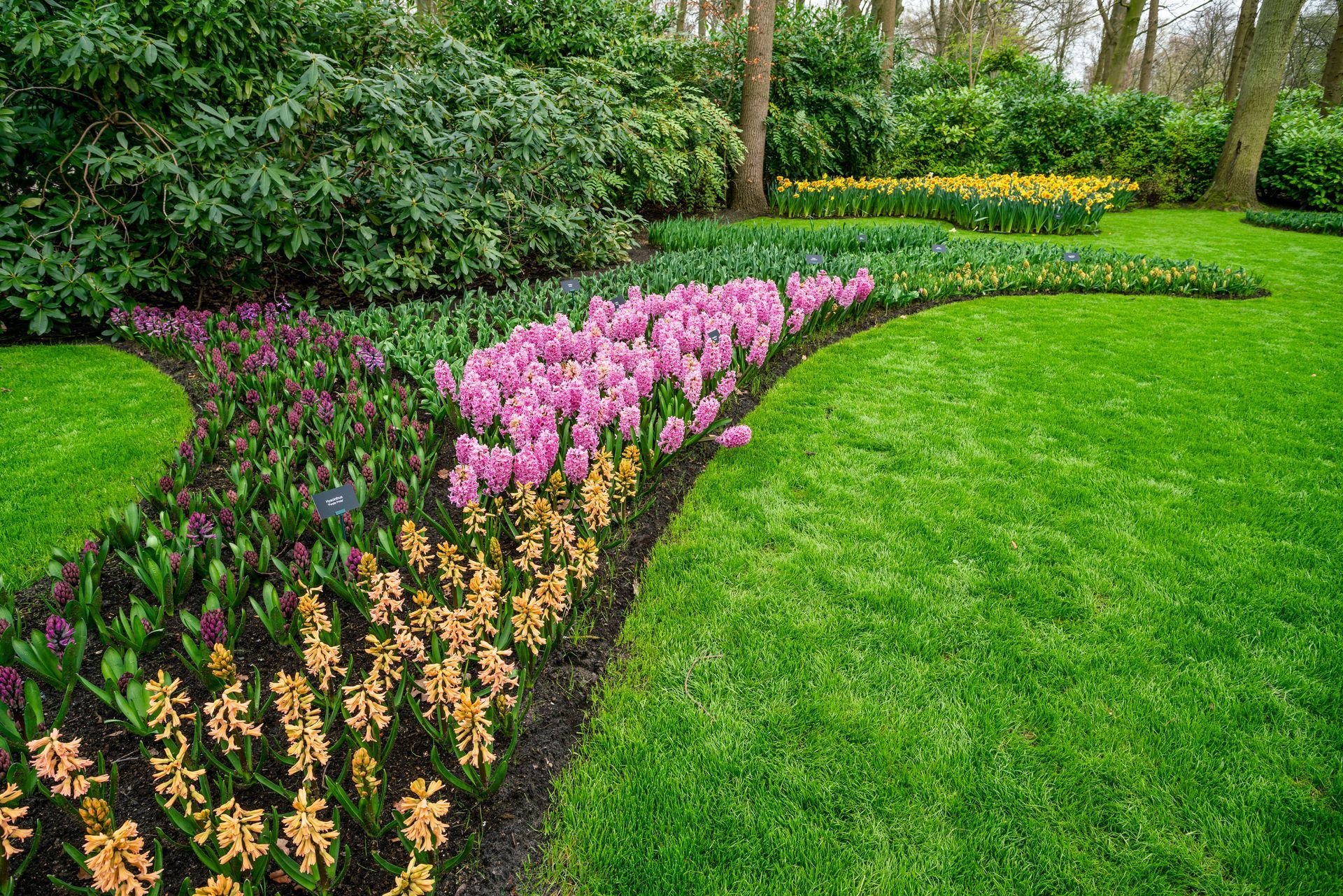 Parterre de fleurs colorées et pelouse verdoyante