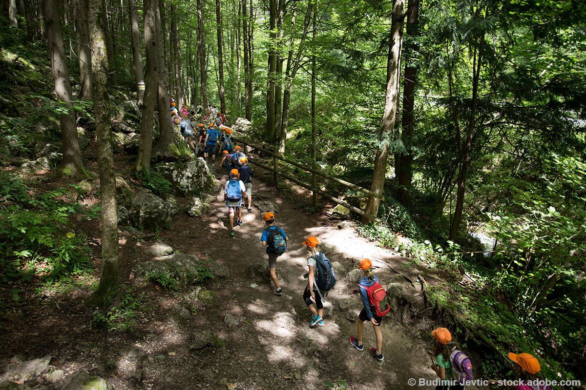 Menschen mit Helmen wandern auf einem Waldweg, Sonnenlicht fällt durch die Bäume.