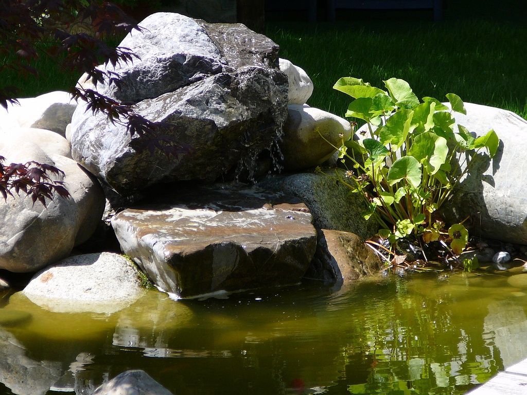 Maurer Gartenbau - Grosshöchstetten