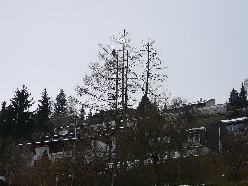 Maurer Gartenbau - Grosshöchstetten