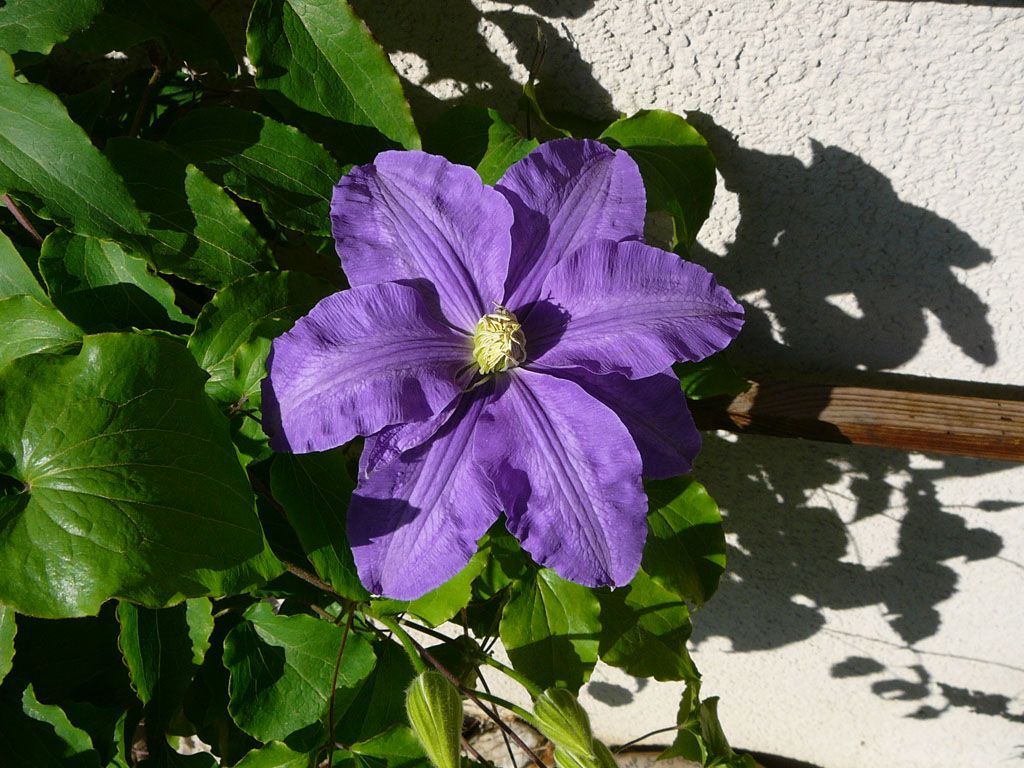 Maurer Gartenbau - Grosshöchstetten