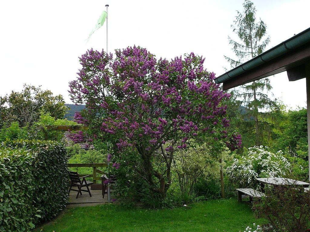 Maurer Gartenbau - Grosshöchstetten