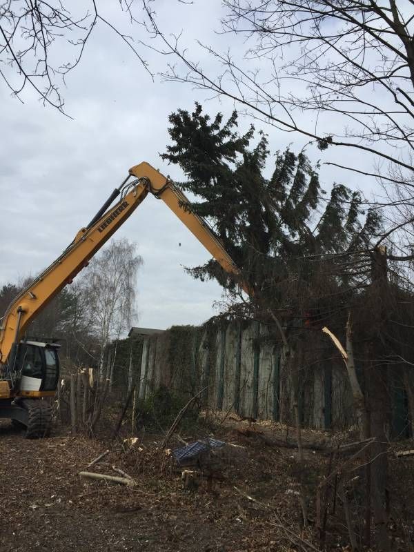 Garten- & Landschaftspflege Fa. Torsten Marks