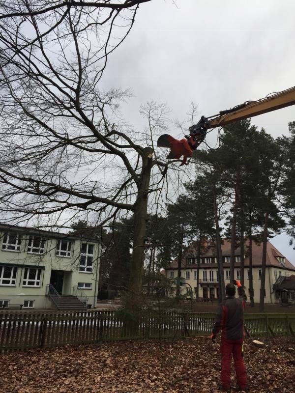 Garten- & Landschaftspflege Fa. Torsten Marks