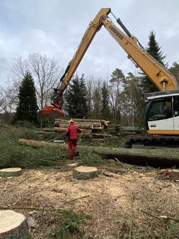 Garten- & Landschaftspflege Fa. Torsten Marks