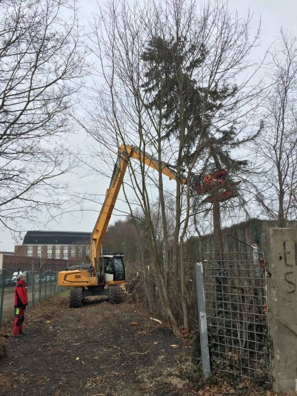 Garten- & Landschaftspflege Fa. Torsten Marks