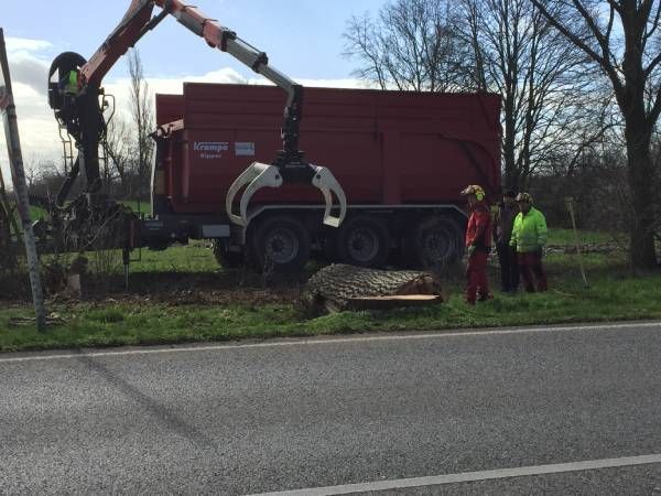 Garten- & Landschaftspflege Fa. Torsten Marks