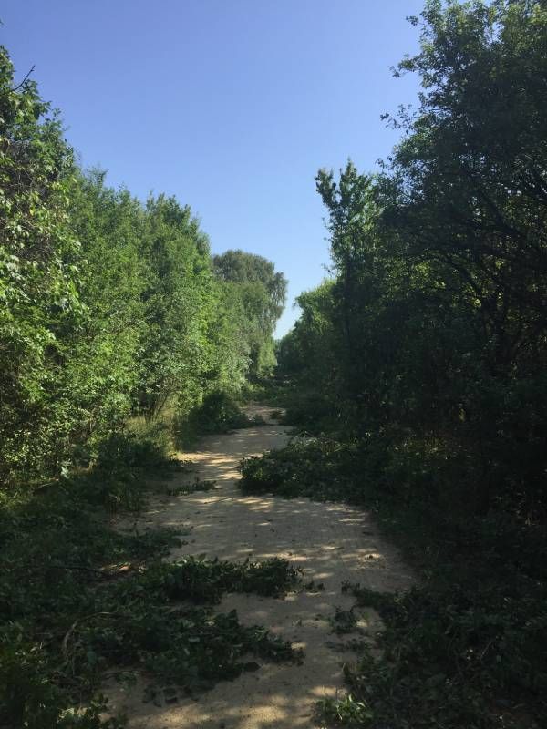 Garten- & Landschaftspflege Fa. Torsten Marks